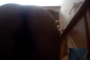 مناقصه پسر عموی من