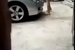 سبزه چسبیده و دمار از روزگارمان درآورد