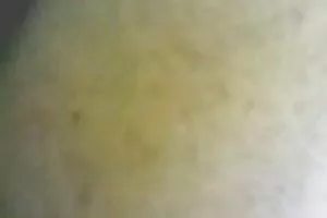 پودر اسپرم 18 ساله! پس از فاک خود به خود او می خواهد کرم